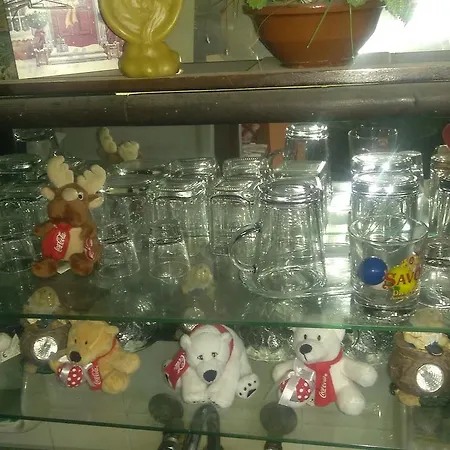 Snejanka Family סופיה