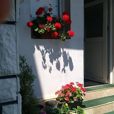Hotel Snejanka Family Sófia